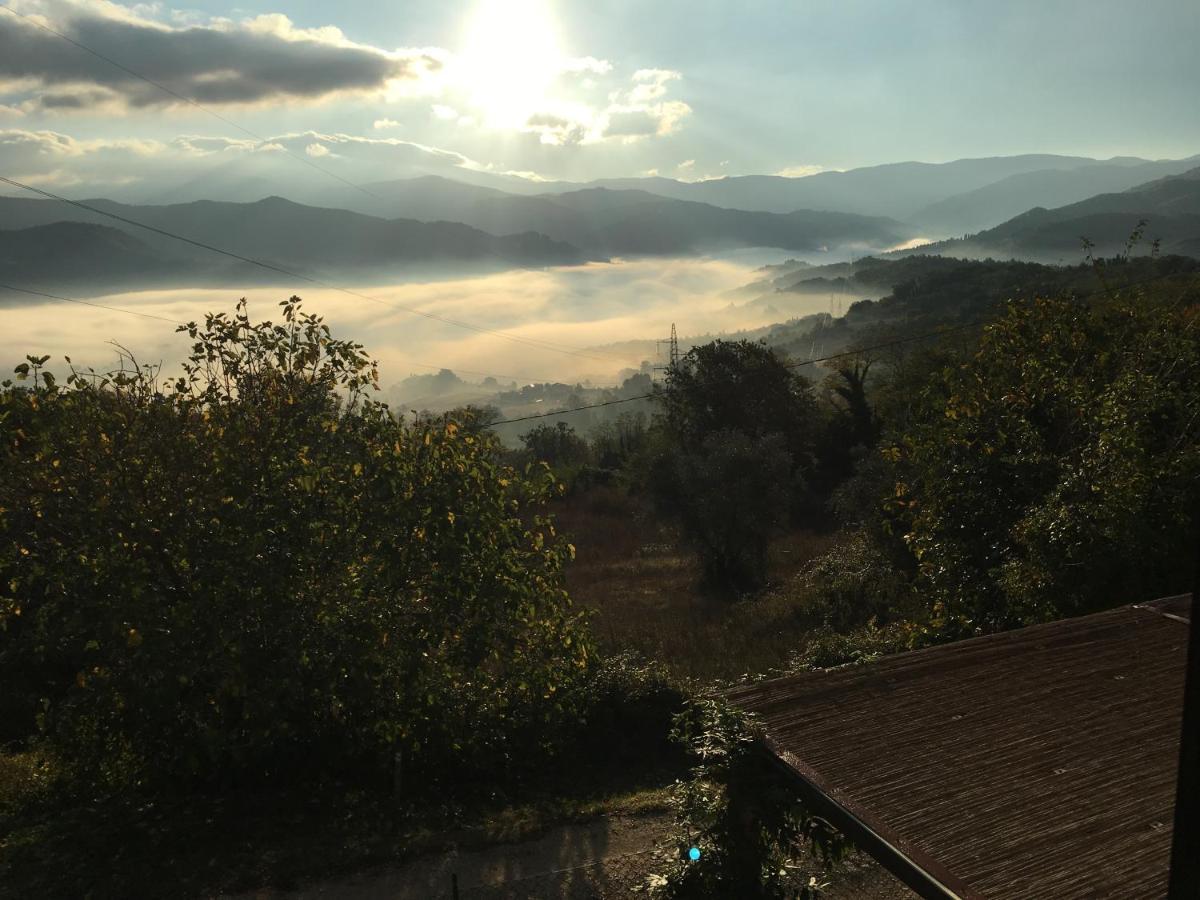 فيتشو Il Mugello B&B المظهر الخارجي الصورة