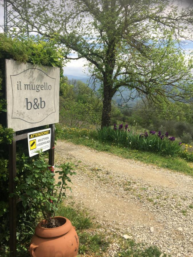 فيتشو Il Mugello B&B المظهر الخارجي الصورة