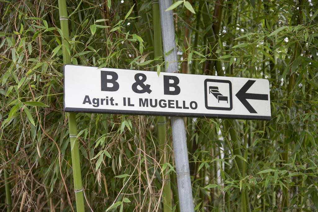 فيتشو Il Mugello B&B المظهر الخارجي الصورة